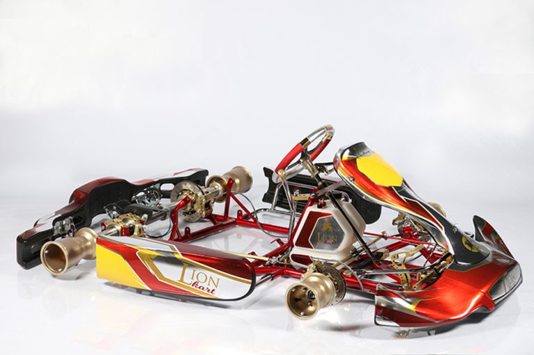 Kart Chassis KZ Lion Kart